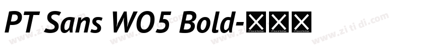 PT Sans WO5 Bold字体转换